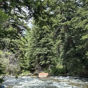 Meet your Posher, Brooks